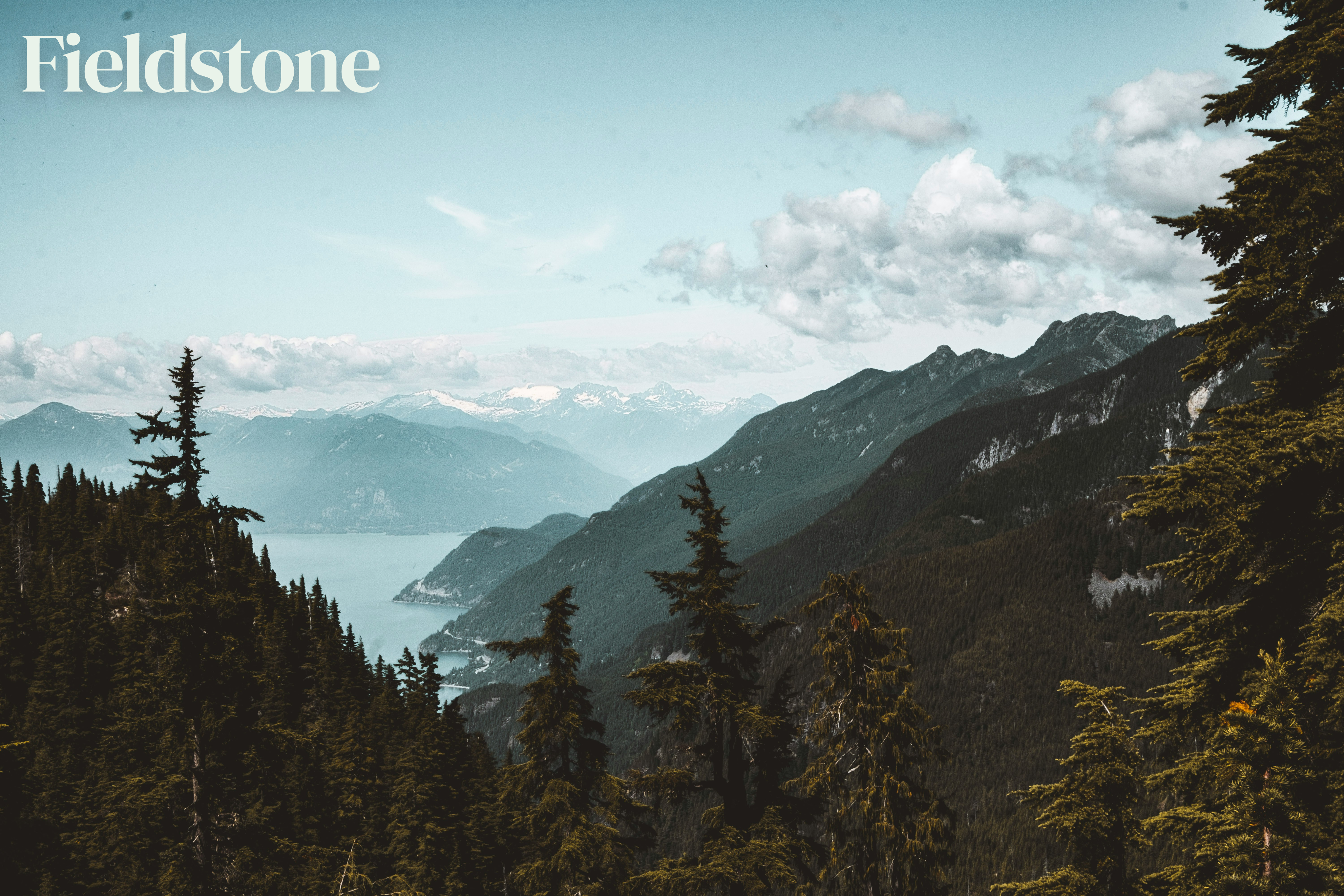 Fieldstone is coming soon